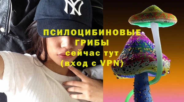 прущий лед Аркадак