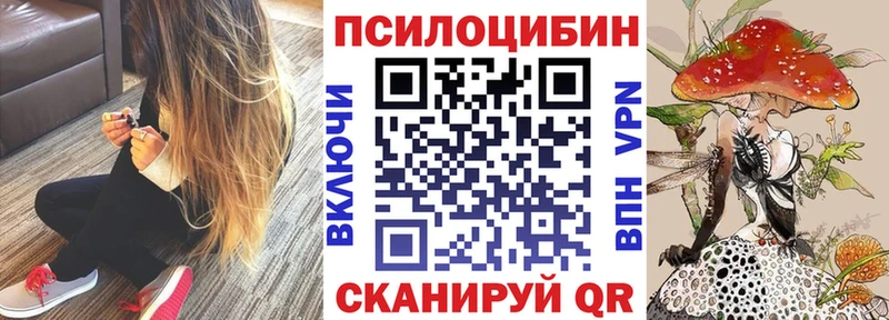 mega ссылки  Енисейск  Псилоцибиновые грибы Psilocybe 
