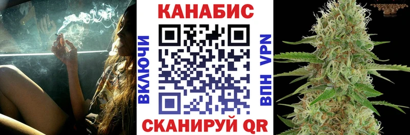 Каннабис план Енисейск